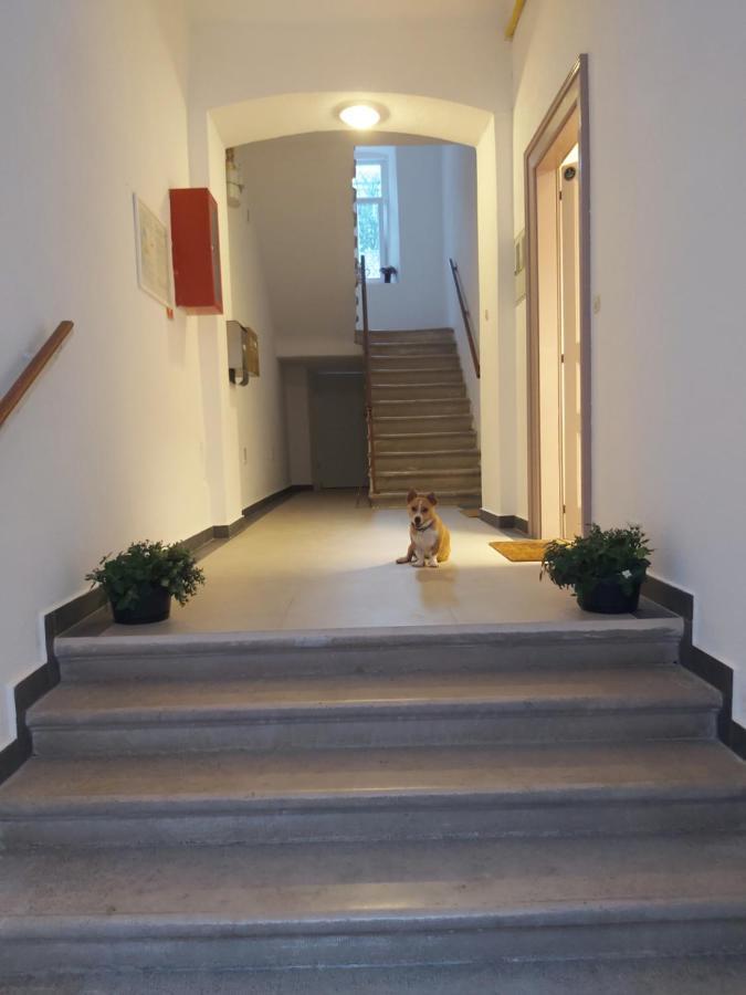 Apartman Draguc Pula Ngoại thất bức ảnh